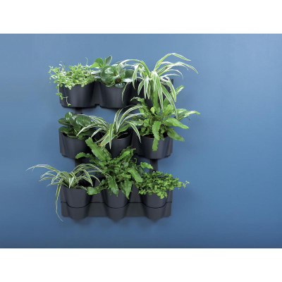 Kopsht vertikal muri Prosperplast CASCADE WALL, me sistem ujitje, plastik, antracit