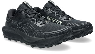 Патики за трејл Asics Gel Trabuco 13 GTX, мажи, црни