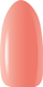Xhel ndërtues thonjsh Claresa Keratin Soft Easy Builder Gel Skin Cover, 90g, nude