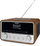 Radio TechniSat DigitRadio 586, e kaftë / argjendtë