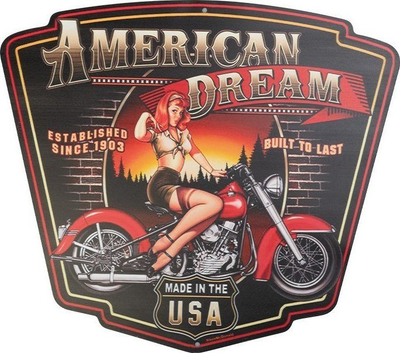 Tabelë dekorative murale Activeshop N169, American Dream, 39x36cm, shumëngjyrëshe