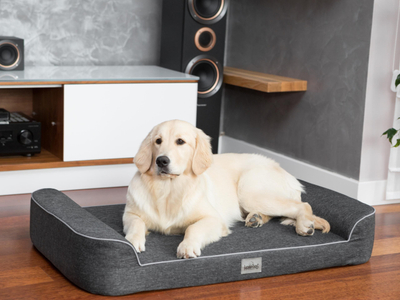 Shtrat qeni HobbyDog Elegant Mattress XXL, 120x80 cm, sfungjer, i zi