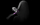 Dyson Airwrap Origin HS05