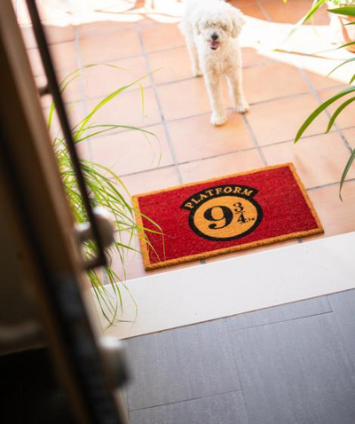Tapet hyrje Harry Potter Platform 9 3/4, fibra kokosi, bazë PVC kundër rrëshqitjes, shumëngjyrësh
