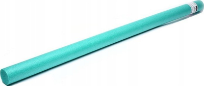 Потпорна шајка за пливање MASTER Swimming Bar, 120 cm, пена PE, нане