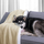 Ќебе Avocation Shleepy Jacquard 7003, 70x150cm, полиестер, беж