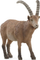 Figurinë kafshe Schleich Wild Life Alpine Ibex, plastike, e lyer me dorë, kafe