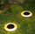 Llambë diellore kopshti SASKA GARDEN 1057187, LED, IP44, zi argjend