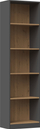 Raft librash Topeshop SHELF R50, 5 rafte, material druri, antracit dhe lisi artisan