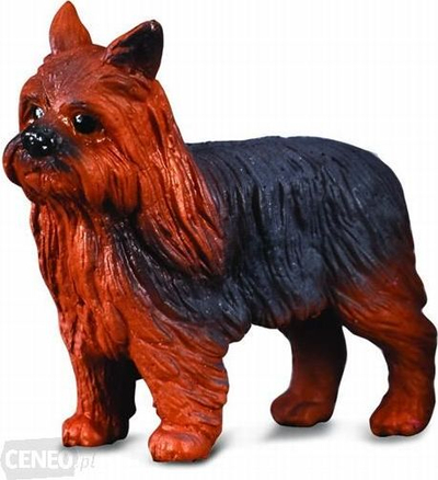 Figurë lodër Collecta qen Yorkshire Terrier, madhësia S, shumëngjyrëshe