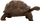 Figurë Russell - Breshkë Galapagos