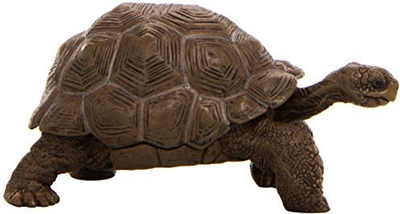Figurë Russell - Breshkë Galapagos