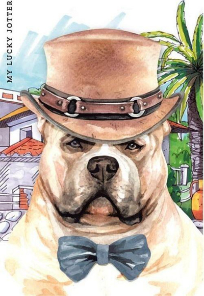 Fletore me katrorë Fresh, 64 fletë