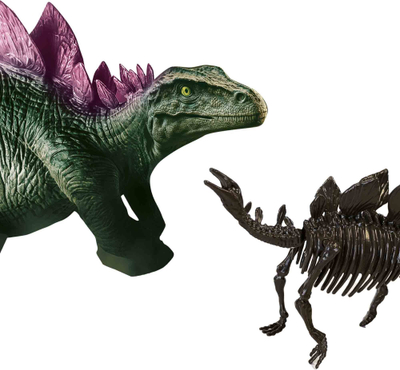 Set gërmimi dinosauri SES Creative 2 në 1 Stegosaurus, skelet dino