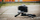 Tripod mini FireFly Video Creator Kit, kokë pan, mbajtës telefoni, i zi