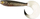 Karrem për peshkim Fox Rage Pro Grub, 23cm 9 ", Super Natural Pike