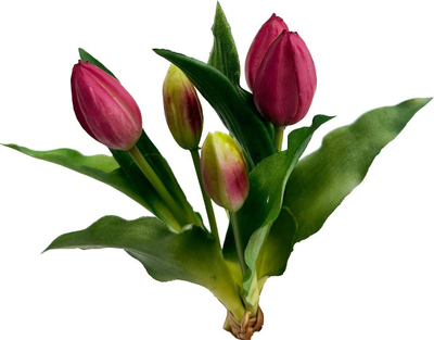 Buqetë lulesh artificiale SASKA Gift and Decor Tulip, 5 copë, silikon PU 28 cm, lejla