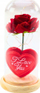 Trëndafil dekorativ Eternal Rose me kupë xhami, dritë LED, 18.5x8cm, i kuq