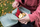Kuti dreke Koziol Organic Bento, set me 3 copë, material miqësor me natyrën, jeshile