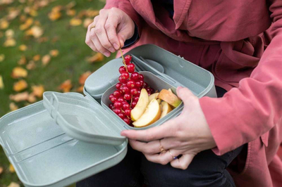 Kuti dreke Koziol Organic Bento, set me 3 copë, material miqësor me natyrën, jeshile