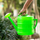 Кантичка за наводнување Black Forest Schwarzwald Garden 1600, 10L, пластика, зелена