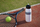 Shishe sportive Rosti Mepal Ellipse To Go, 500ml, s’rrjedh, rozë