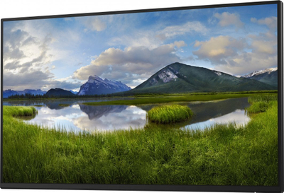 Monitor Dell P2425HE, 23.8", Full HD, i zi (pa bazë)