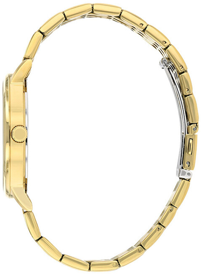 Orë dore Citizen Standard Quartz BI5072-51E