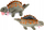 Lodër pellushi Lean Toys Dinosaur 16702, me ndarje për me bo vend gjërash, 34 cm, gri