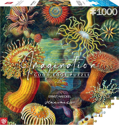 Пазл Ernst Haeckel Sea Creatures, 1000 делови, многубоен