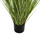 Bimë sintetike Bristlegrass në vazo (HM4017)