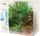 Set bimësh dekorative Zolux PlantKit Jalaya, 6 copë, të gjelbra