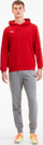 Bluzë me kapuç Puma TeamGoal 23 Casuals M 656580-01, me xhep kangur, e kuqe