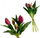 Buqetë lulesh artificiale SASKA Gift and Decor Tulip, 5 copë, silikon PU 28 cm, lejla