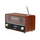 Denver TuneMaster DAB-36 Radio