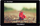 Монитор за камера Feelworld LUT7, 7", Full HD, со допир