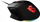 Maus MSI Clutch GM20 Elite, i zi
