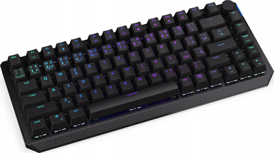 Tastierë gaming Endorfy Thock 75% Wireless, mekanike Kailh Box Black, RGB, layout CZ/SK, e zezë