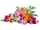 Set LEGO Pink Flower Bouquet 10342, buqetë me lule, model dekorativ, rozë