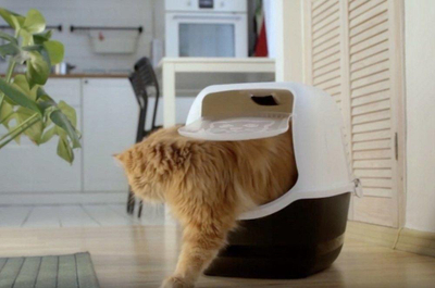 Kuti tualeti për mace Rotho My Pet BAILEY, me kapak, bardh e zi