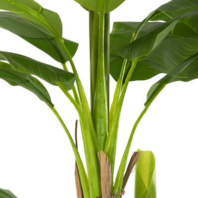 Bimë sintetike Pema Banane 200cm (HM7978)