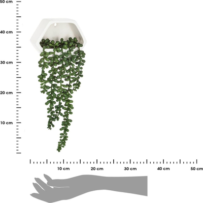 Bimë artificiale Atmosphera Trailing Ragwort, varëse, me vazo qeramike të bardhë, jeshile