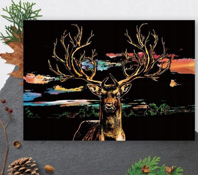Set kreativ për gërvishtje Your Hobby Deer, 40.5x28.5cm, motiv dreri, shumëngjyrësh