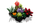 Set LEGO Creator Succulents 10309, Botanical Collection, dekorativ, shumëngjyrësh