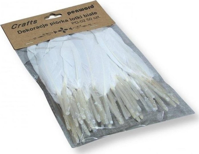 Penda dekorative Penword Feathers Quills, 10-15mm, 50 copë, të bardha