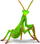 Figurinë insekt Collecta Praying Mantis 004-88351, plastike, me shumë ngjyra