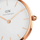 Orë dore Daniel Wellington Petite 28 Melrose RG DW00100219