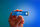 SSD WD Blue SN5000 (WDS400T4B0E), 4TB M.2 2280, PCI-E x4, Gen4 NVMe