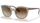 Syze Vogue VO5427S 50 294013