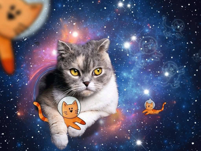 Puzzle Ravensburger 17439 Cats Fly in Space, 1500 copa, për të rritur dhe kalamaj 14+
